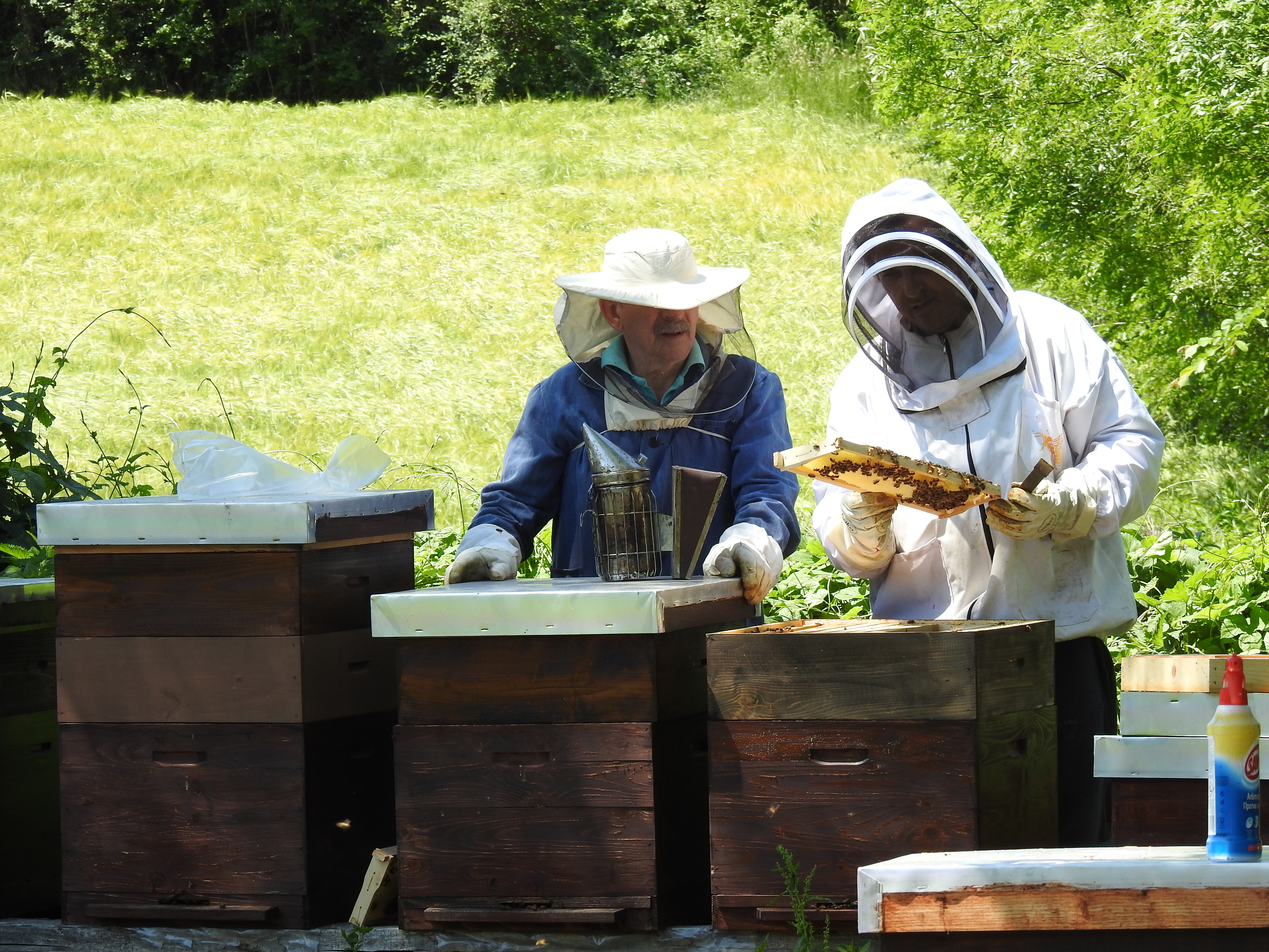 PG ZLATKO ČOLAKOVIĆ KRNJEVO